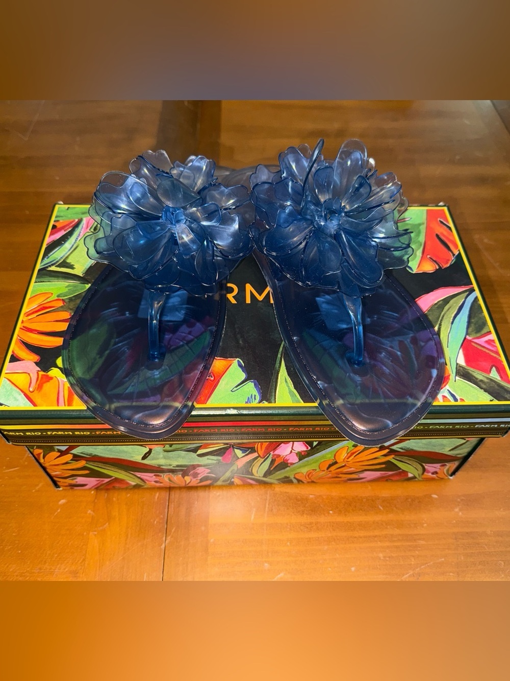 Farm Rio Blue Flower Jelly Flat thong Sandals NWT US 6/7 Euro Summer Chic Indie